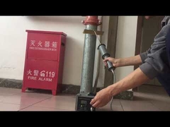 دتکتور تعطیلات